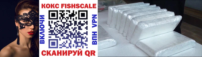КОКАИН FishScale  Купить  Сольвычегодск 