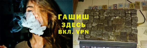МДПВ Бородино