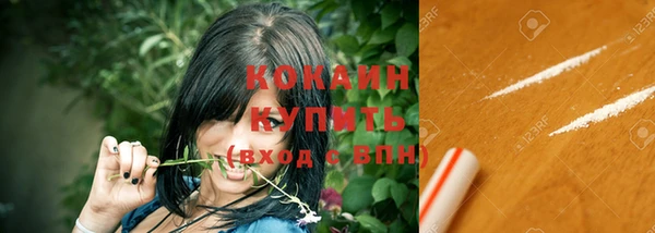 МДПВ Бородино