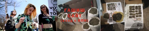 МДПВ Бородино
