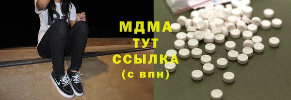 МДПВ Бородино