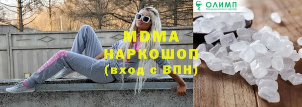 МДПВ Бородино