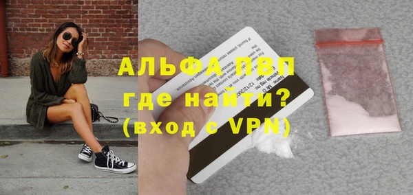 МДПВ Бородино