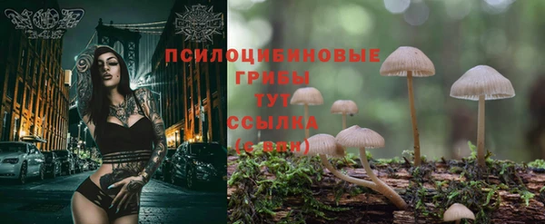 сатива Бугульма