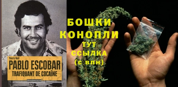 МДПВ Бородино