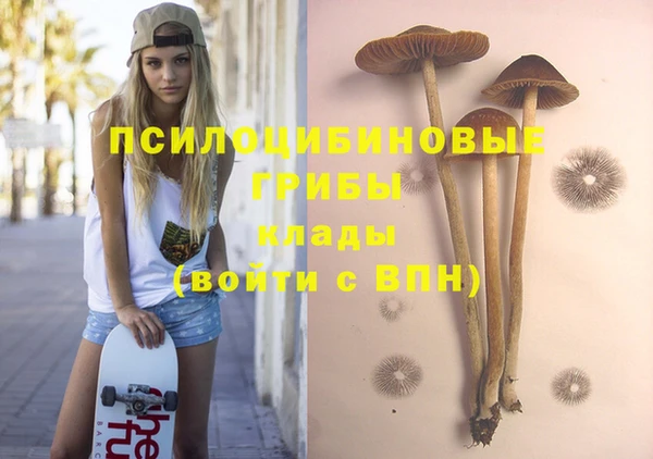 МДПВ Бородино