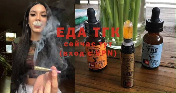 МДПВ Бородино