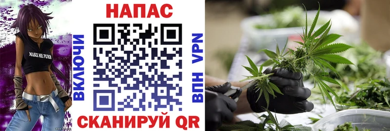 Каннабис OG Kush  Купить закладки  Сольвычегодск 